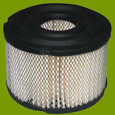 (image for) Briggs & Stratton Air Filter 390492, JM685